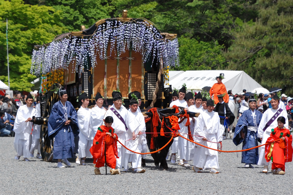 葵祭 牛車