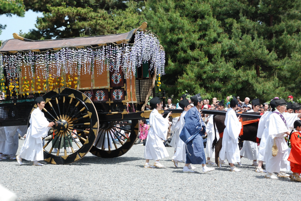 葵祭 牛車