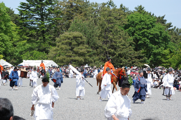 葵祭 掛竿 退紅