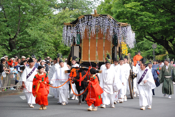 葵祭 牛車