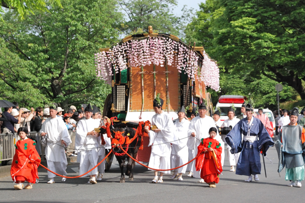 葵祭 斎王代の牛車