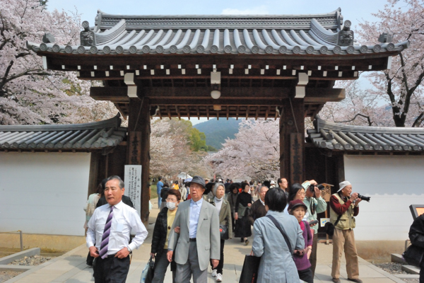 醍醐寺 総門