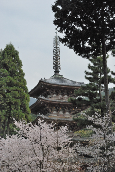 醍醐寺 五重塔