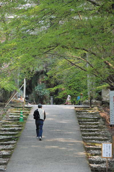 醍醐寺 上醍醐入口