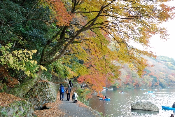 保津川沿いと紅葉