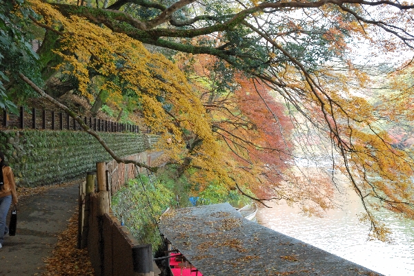 紅葉のトンネル