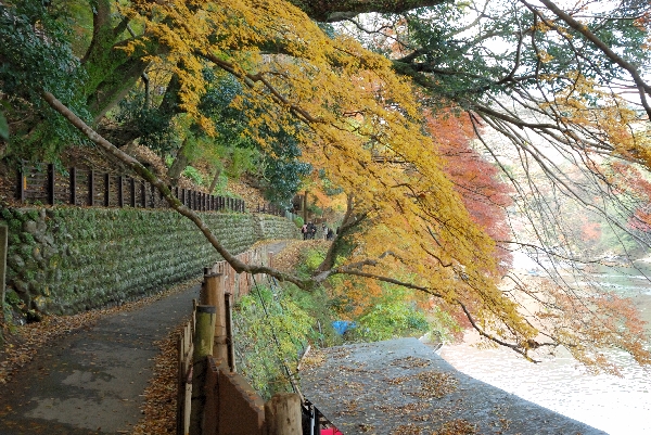 紅葉のトンネル