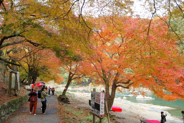 道半ばと紅葉