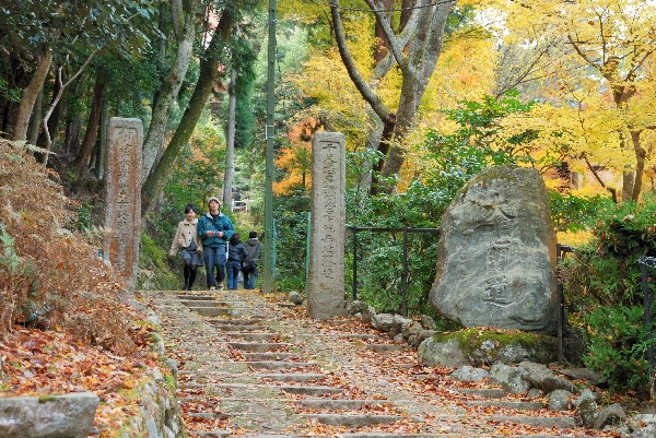 入口と紅葉