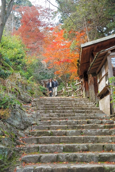 急坂と紅葉