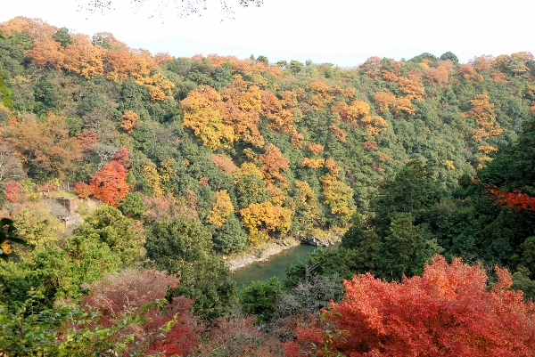 紅葉と絶景