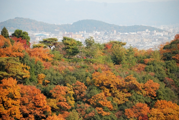 嵐山公園