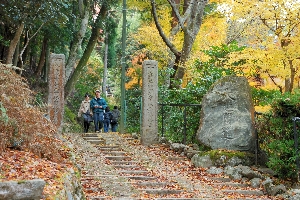 入口と紅葉