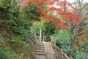 急坂と紅葉