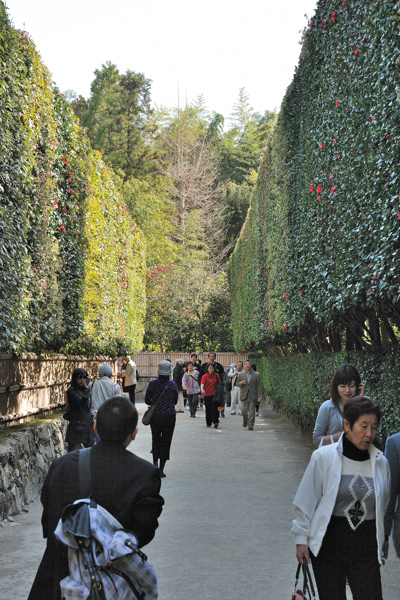 銀閣寺 銀閣寺垣