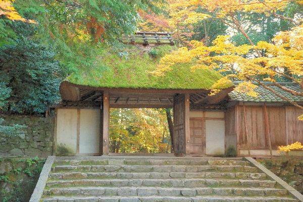 山門と紅葉