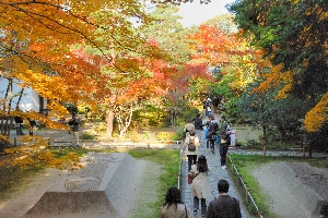 白砂壇と紅葉