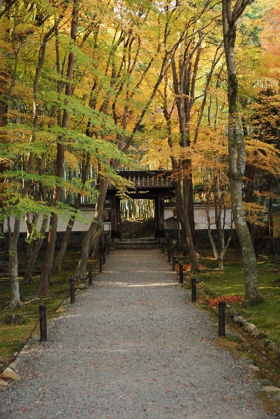 総門と紅葉