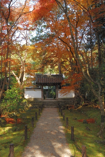 紅葉と中門に続く参道