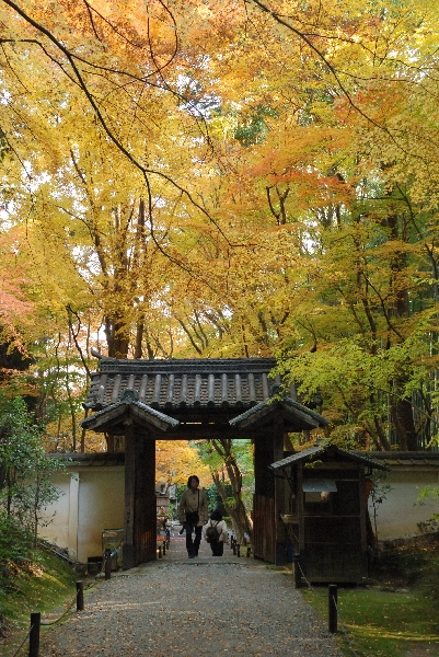 総門と紅葉
