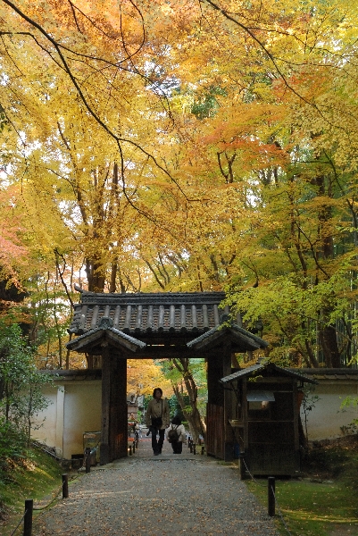 総門と紅葉