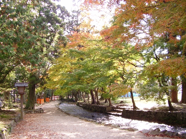 ならの小川