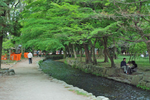 ならの小川