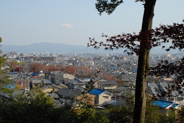 紅葉時期の京都市内の眺め