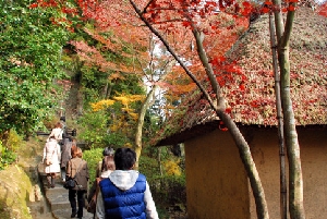 鈴虫小屋と紅葉