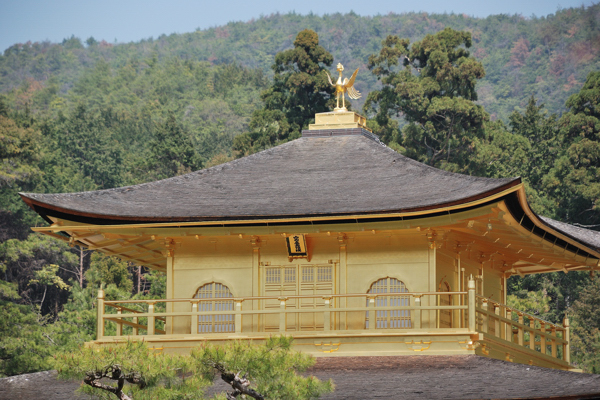 金閣寺 鳳凰