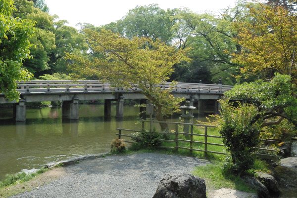厳島神社から見た九条池