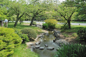 出水の小川