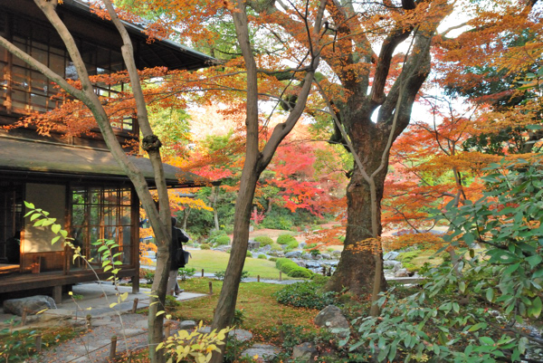 母屋と紅葉