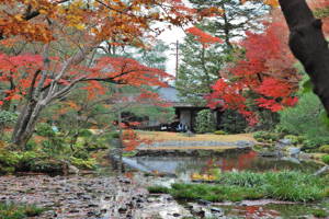 茶室と紅葉