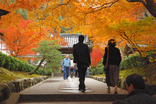 天授庵前の紅葉