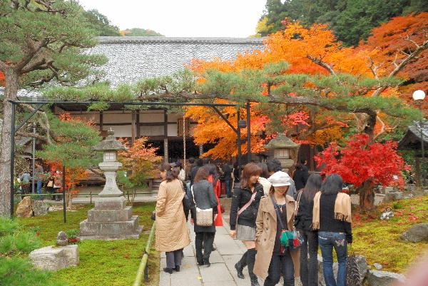 紅葉の天授庵