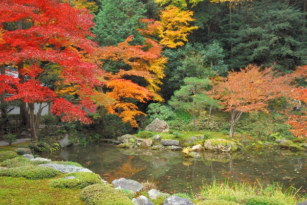 南禅院方丈庭園と紅葉