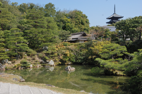 仁和寺 北庭 飛濤亭