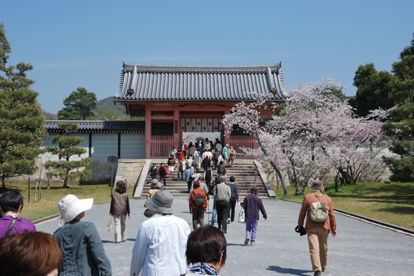 仁和寺 中門