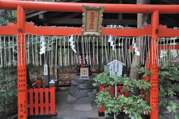 野宮神社 白福稲荷大明神