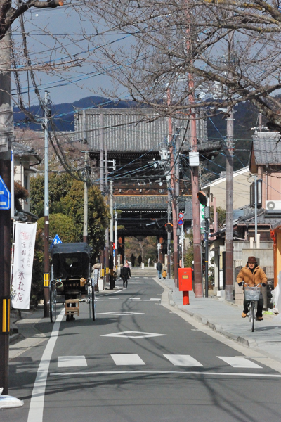 清凉寺 仁王門