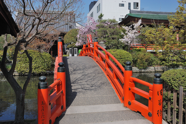 神泉苑 法成橋