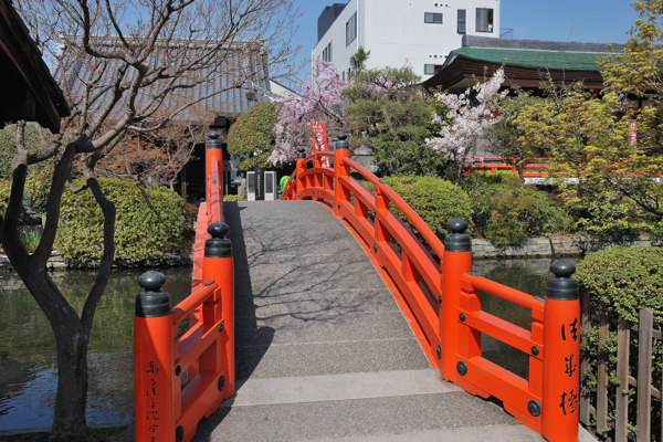 神泉苑 法成橋