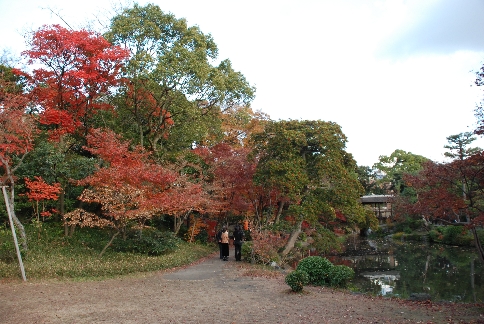 紅葉