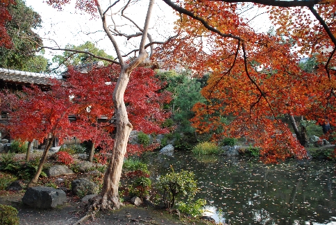 回棹廊前の紅葉