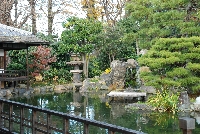 滴翠軒と庭園