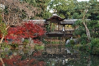 回棹廊と紅葉