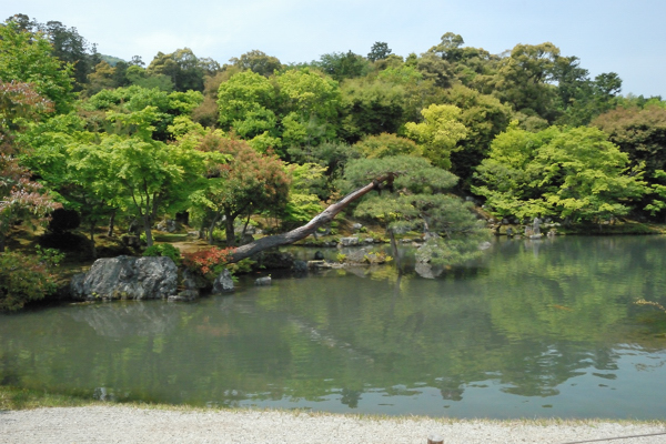 天龍寺 曹源池庭園