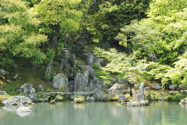 天龍寺 曹源池庭園 龍門の滝