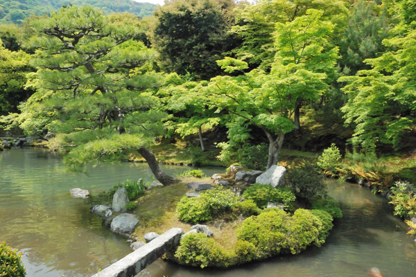 天龍寺 曹源池庭園